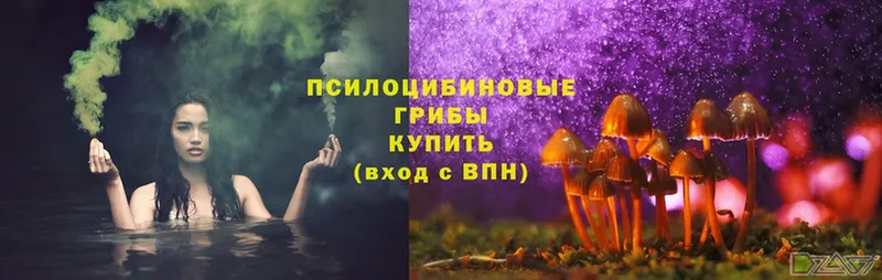 Галлюциногенные грибы Cubensis  Жуковский 